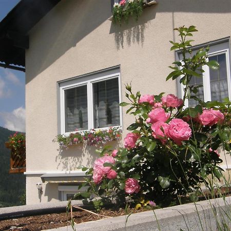 Ferienwohnung Brennseeblick Feld am See Exterior foto