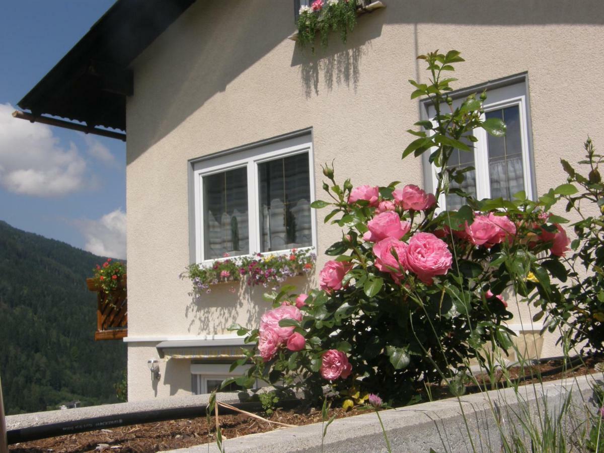 Ferienwohnung Brennseeblick Feld am See Exterior foto